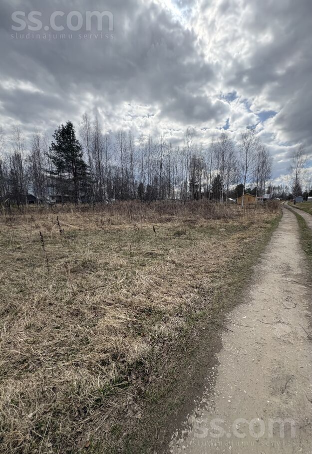 D/s liesma 108, Brodi, Jēkabpils un raj., Ābeļu pag. — zeme