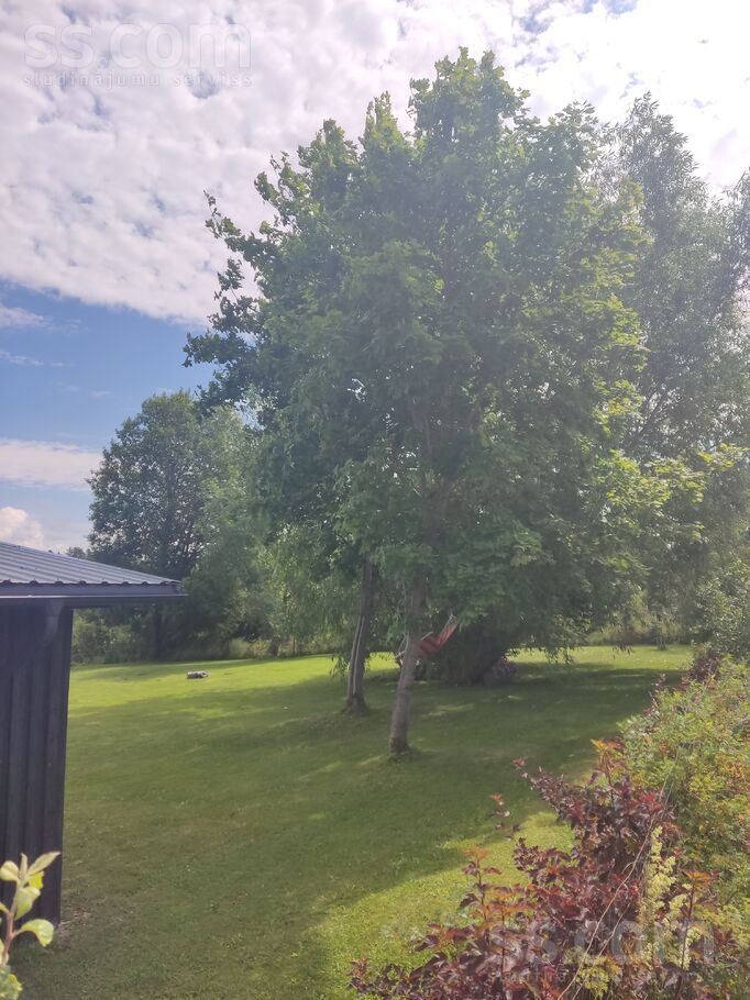 Vijolītes, Pāce, Talsi un raj., Dundagas pag. — maja