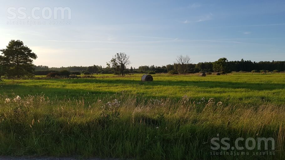 Ceriņziedi, Upesgrīva, Talsi un raj., Mērsraga pag. — zeme