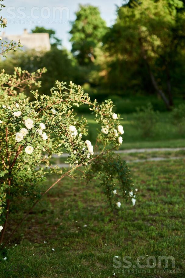 Rucavas, Rīga — zeme