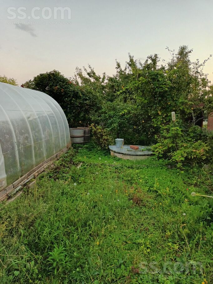 31 6, Šķēde, Liepāja un raj., Medzes pag. — maja