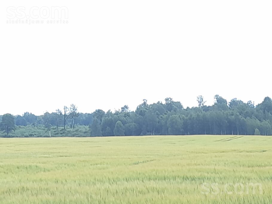 Ziedmalas,, Veclauki, Tukums un raj., Jaunpils pag. — zeme