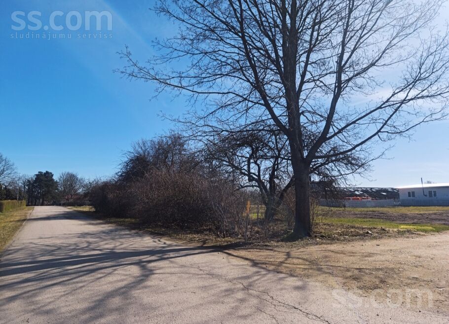 Bērzu iela 23, Engure, Tukums un raj., Engures pag. — zeme