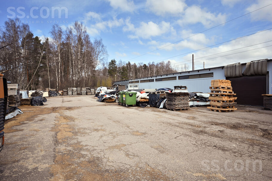 Liepziedu iela 10, Krogsils, Rīgas rajons, Ķekavas pag. — telpa