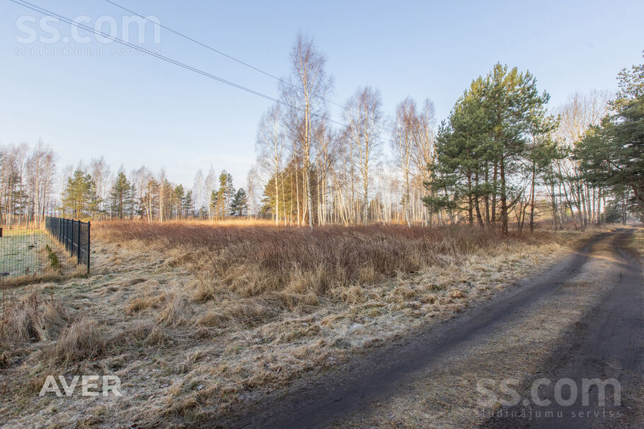 Mīļkalniņi 1, Ragaciems, Tukums un raj. — zeme