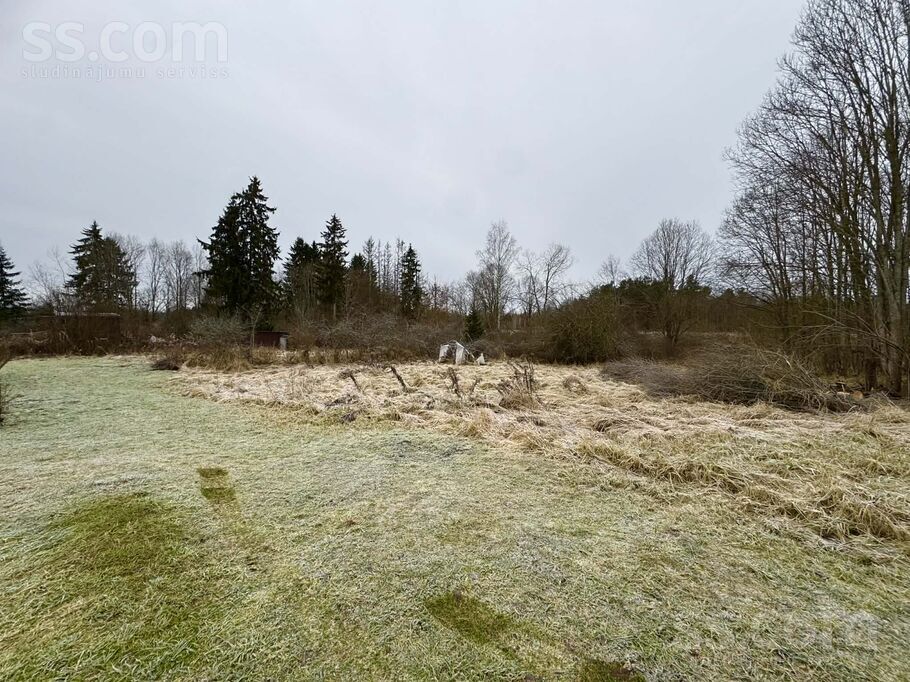 Gaujas iela 10, Valka un raj., Valka — zeme