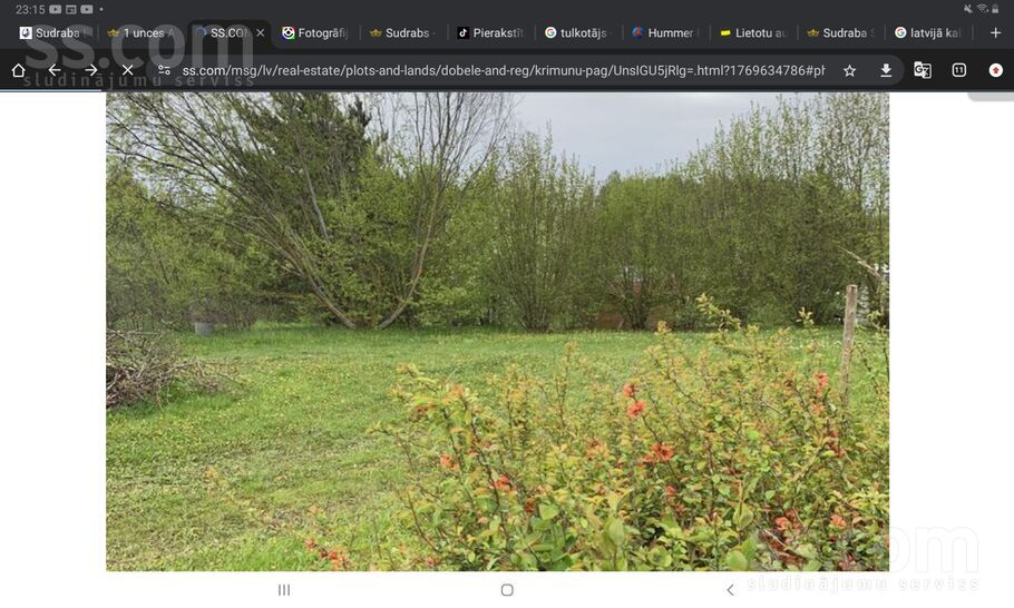 Pokaiņi 402, Parūķis, Dobele un raj., Krimūnu pag. — zeme