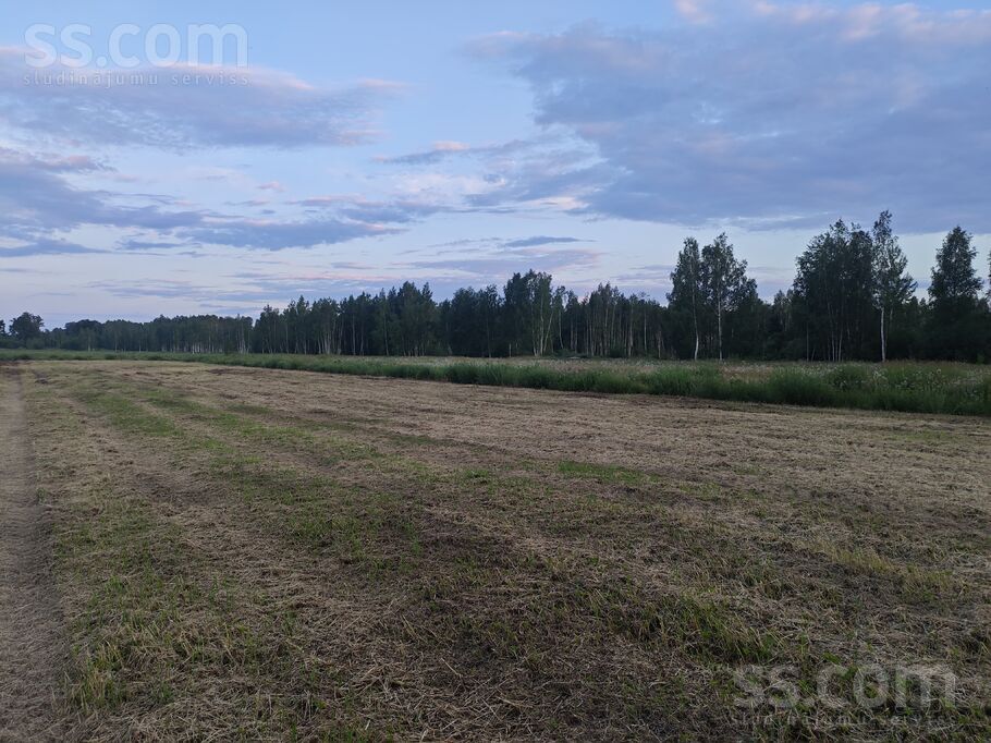 Stacijas iela, Vecumnieki, Bauska un raj., Vecumnieku pag. — zeme