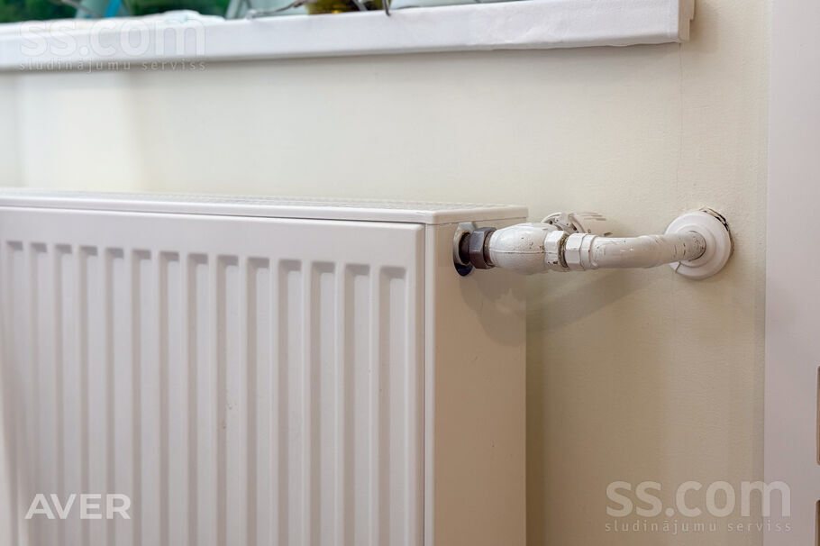 Ziedu iela 12, Silene, Daugavpils un raj., Skrudalienas pag. — maja