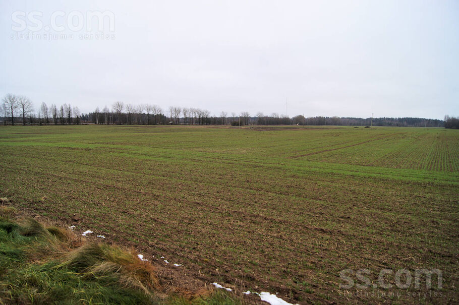 Ziemeļrozes, Dzimtmisa, Bauska un raj., Iecavas nov. — zeme