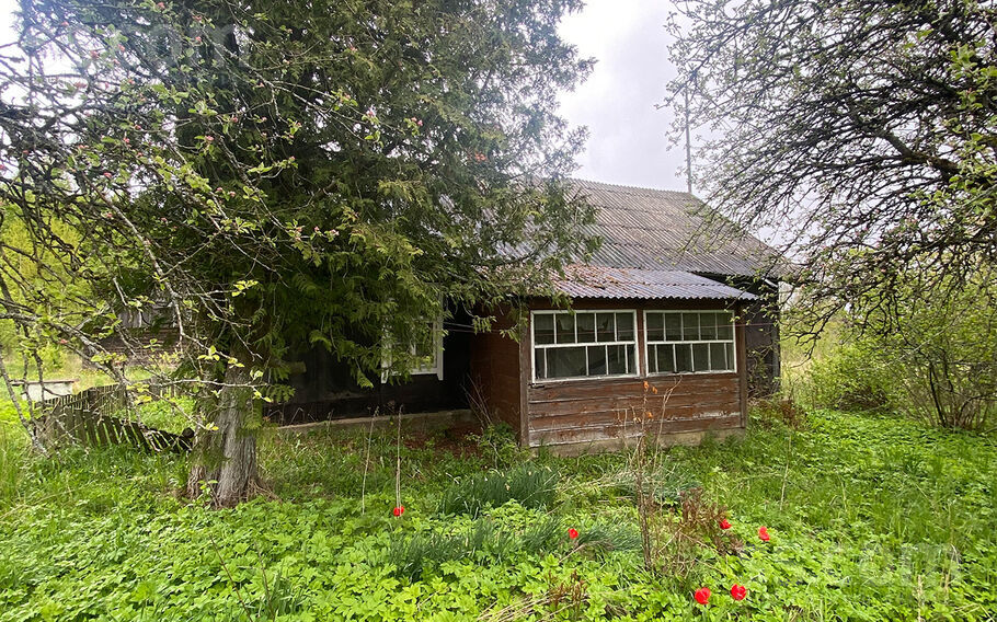 Romuliški, Krāslava un raj., Skaistas pag. — vienseta