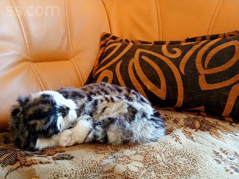 Uriekstes 39, Rīga — maja