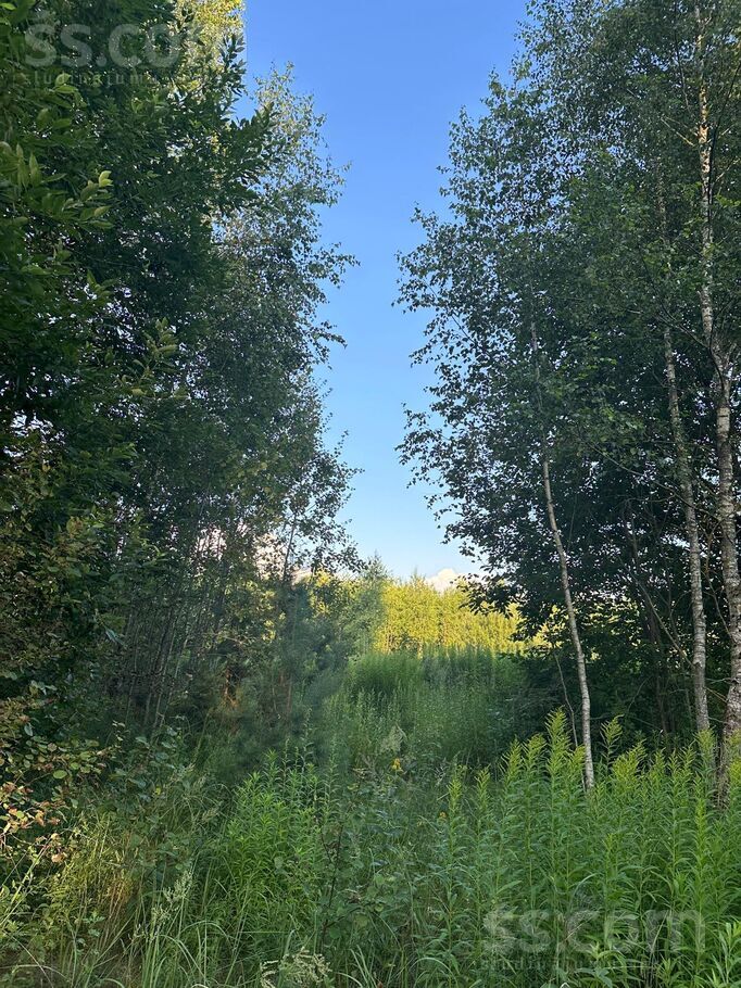 Svīķu iela 1, Pārolaine, Rīgas rajons, Olaines pag. — zeme