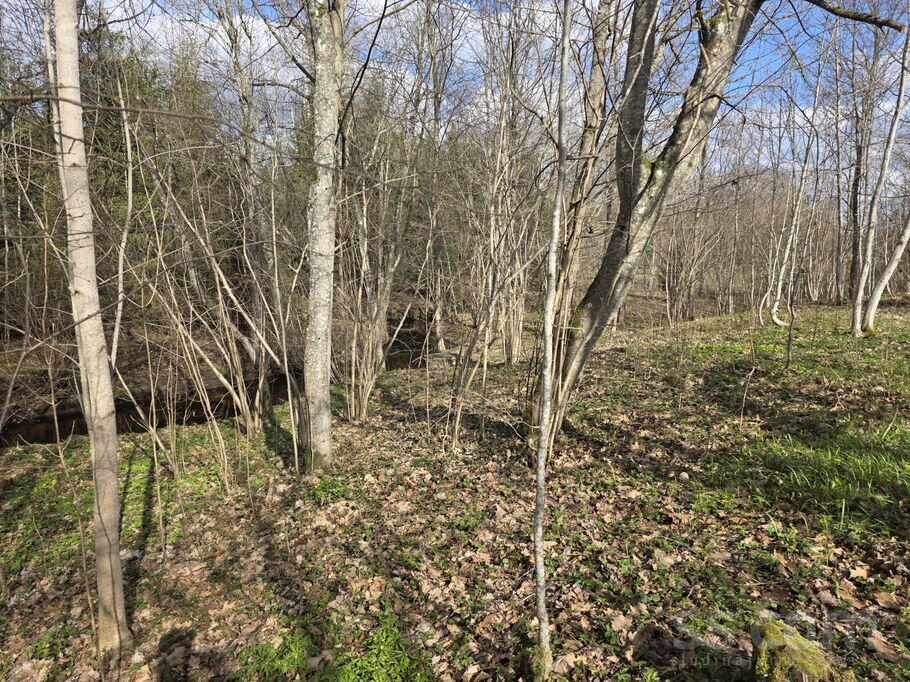 Ozolkalni, Ogre un raj., Jumpravas pag. — maja