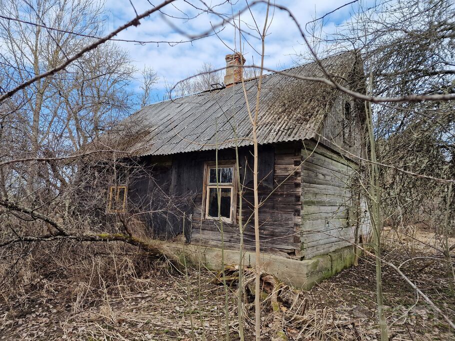 Vite, Rīgas rajons, Mālpils pag. — vienseta