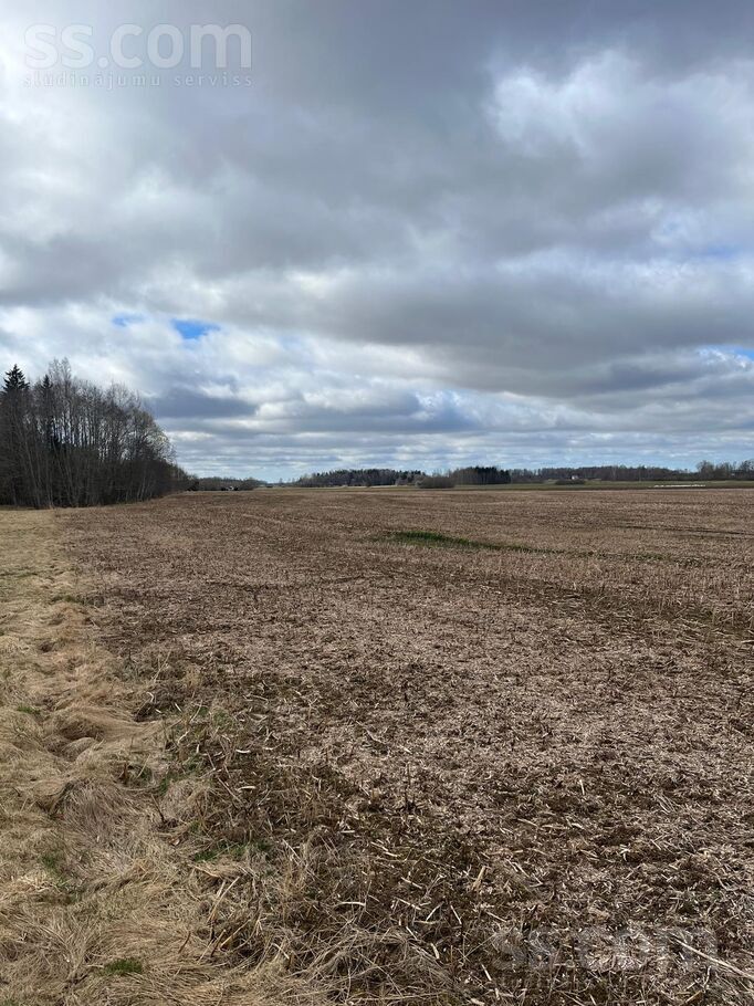 Kaušu mājas, Ivdrīši, Preiļi un raj., Preiļu pag. — zeme