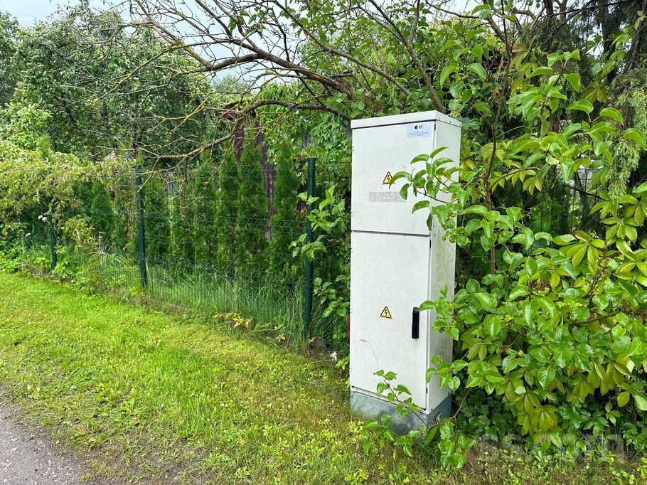 Vasarnīca 823 823, Ziedi, Aizkraukle un raj., Sērenes pag. — maja