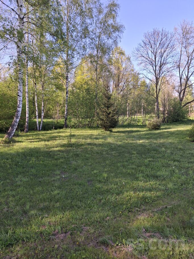 Dzintari, Cimāles, Jelgava un raj., Līvbērzes pag. — maja