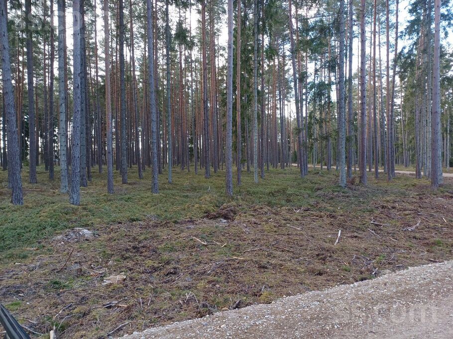 Mežmalas iela, Engure, Tukums un raj., Engures pag. — zeme