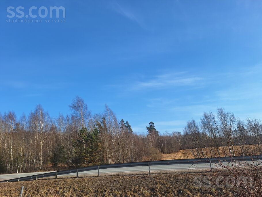 Bez nosaukuma, Eikaži, Rīgas rajons, Krimuldas pag. — zeme