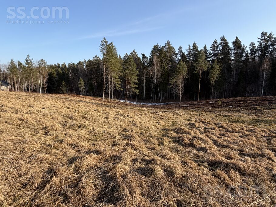 Toma iela 6, Priekuļi, Cēsis un raj., Priekuļu pag. — zeme