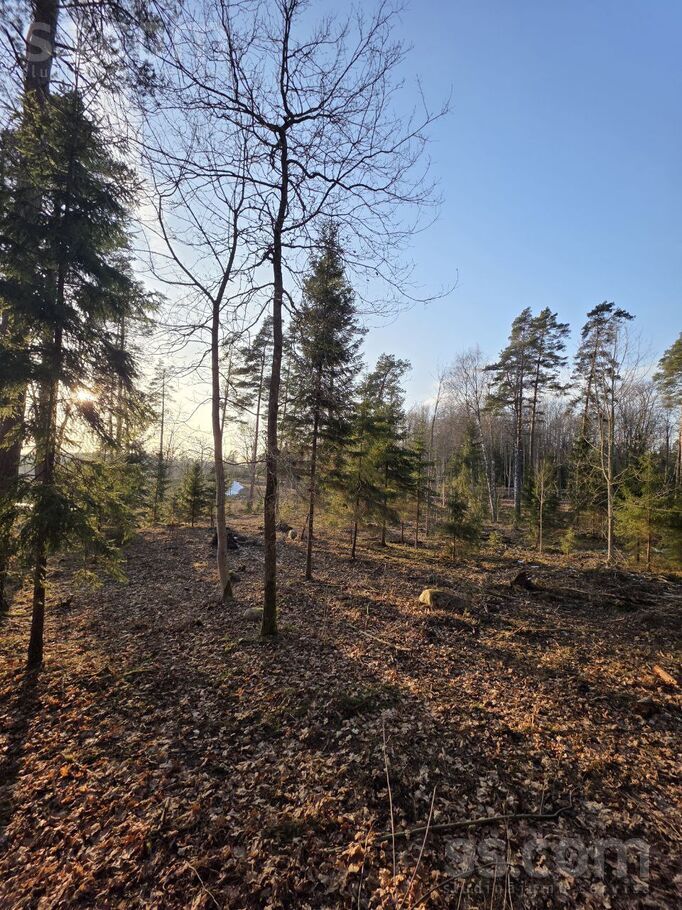 Zemes elpa, Raiskums, Cēsis un raj., Raiskuma pag. — zeme