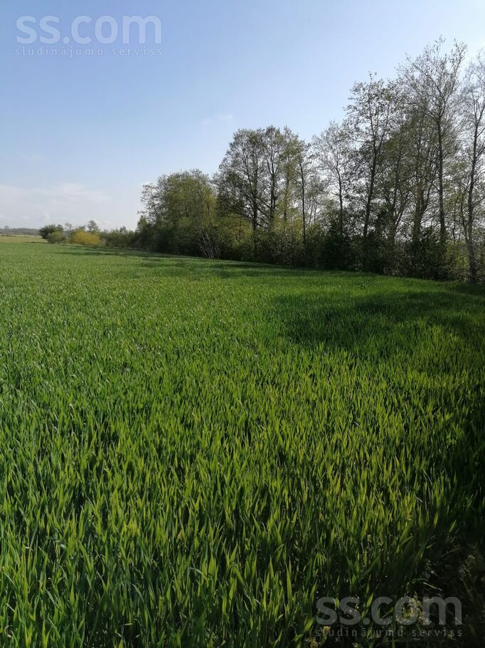 Senleja, Ventspils un raj., Piltenes l. t. — zeme