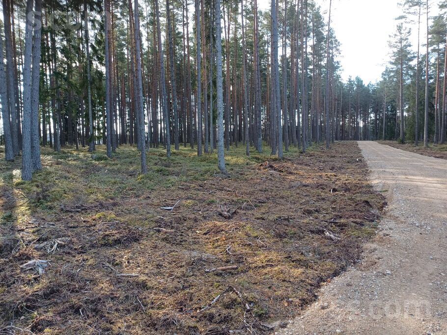 Mežmalas iela, Engure, Tukums un raj., Engures pag. — zeme