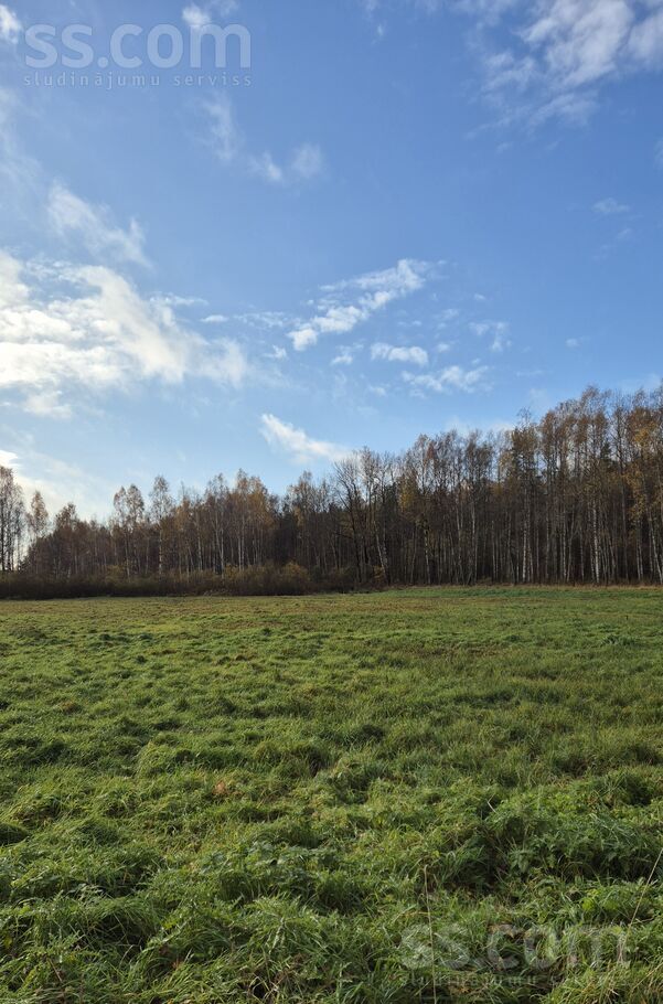 Mazā Meža 6, Rīgas rajons, Salaspils — zeme