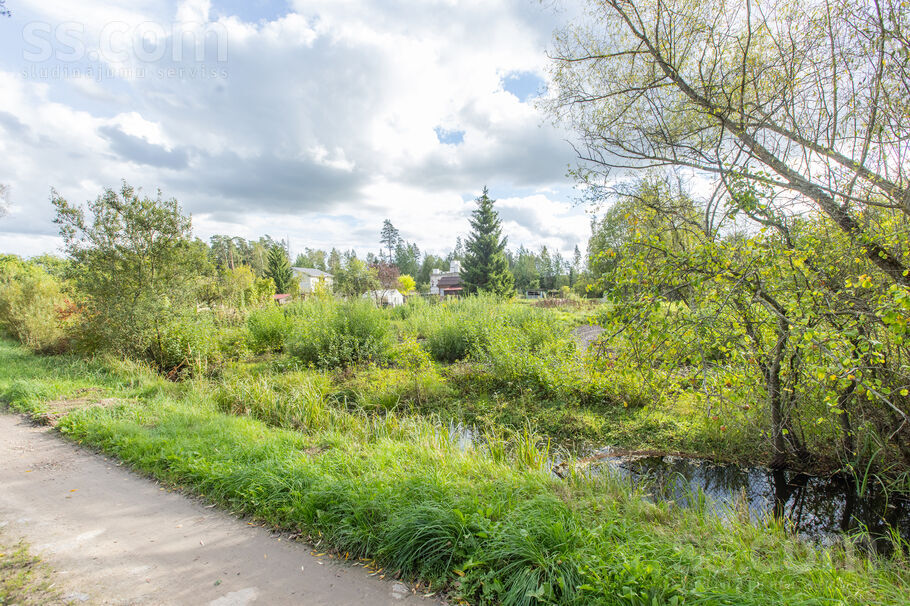 Straume 126, Jāņupe, Rīgas rajons, Olaines pag. — zeme