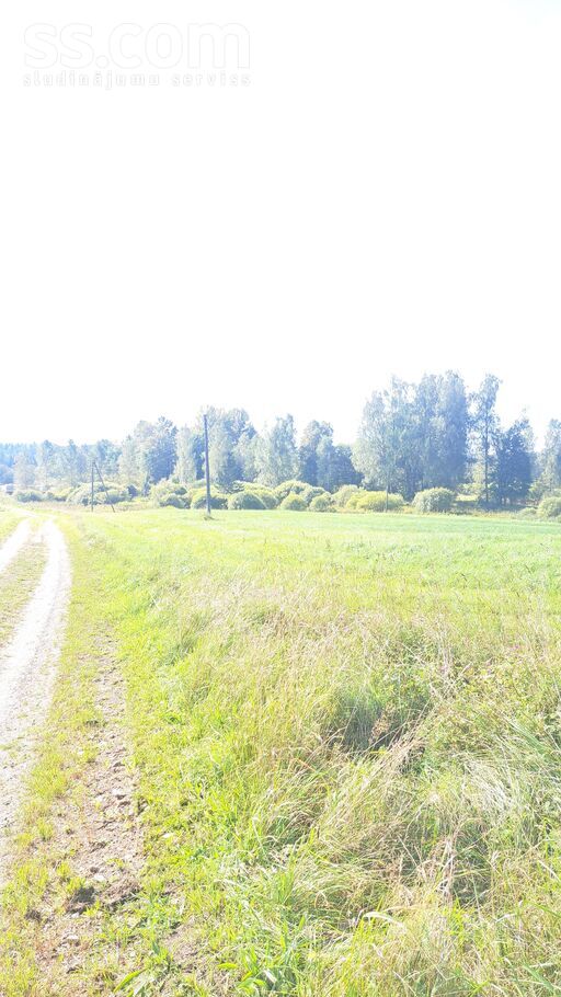 Dzērbene, Cēsis un raj., Dzērbenes pag. — vienseta