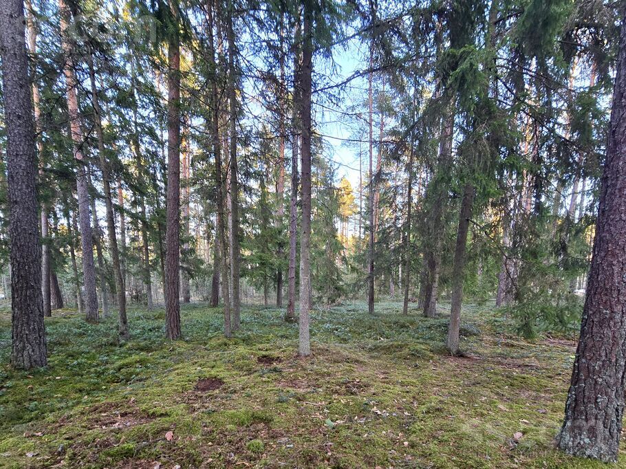 Jūrkalnes 17, Skulte, Limbaži un raj., Skultes pag. — zeme