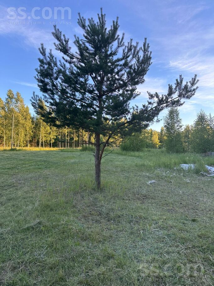 Alksnaji, Alksnāji, Talsi un raj., Mērsraga pag. — zeme