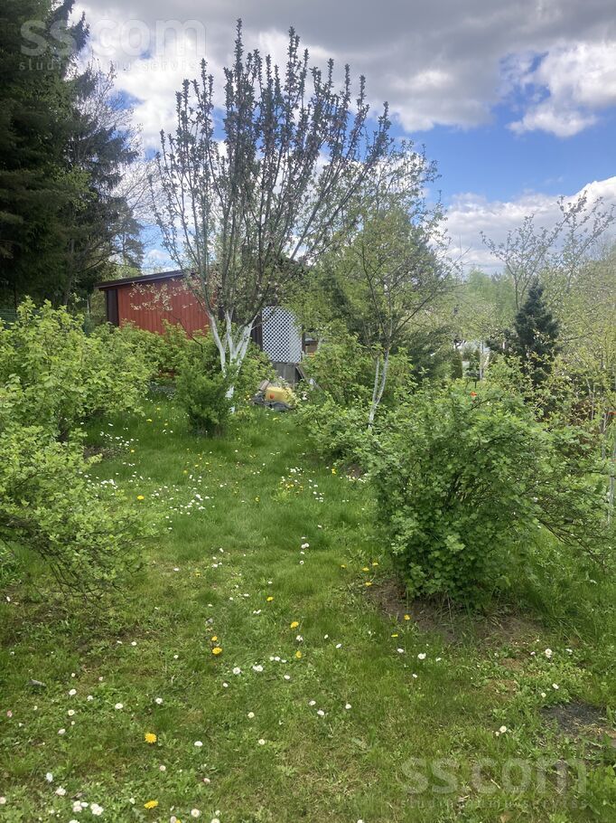 14 linia 15, Krāslava un raj., Krāslava — maja