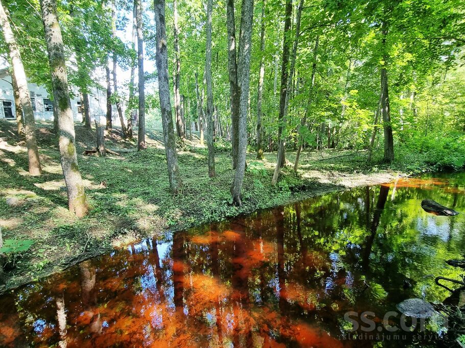 Dārza iela 12, Rīgas rajons, Baldone — telpa