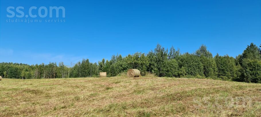 Puzanišķi, Preiļi un raj., Aglonas pag. — vienseta