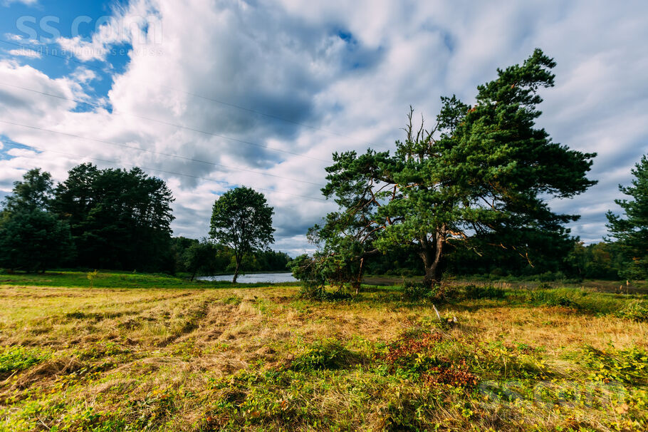 Ventas Līči, Kuldīga un raj., Kuldīga — zeme