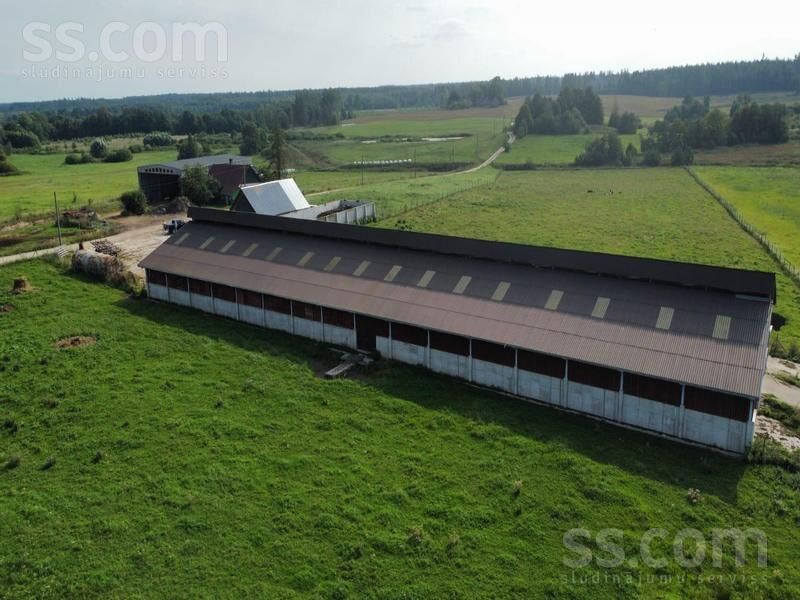 Kalna pupoli, Šengeida, Daugavpils un raj., Skrudalienas pag. — telpa