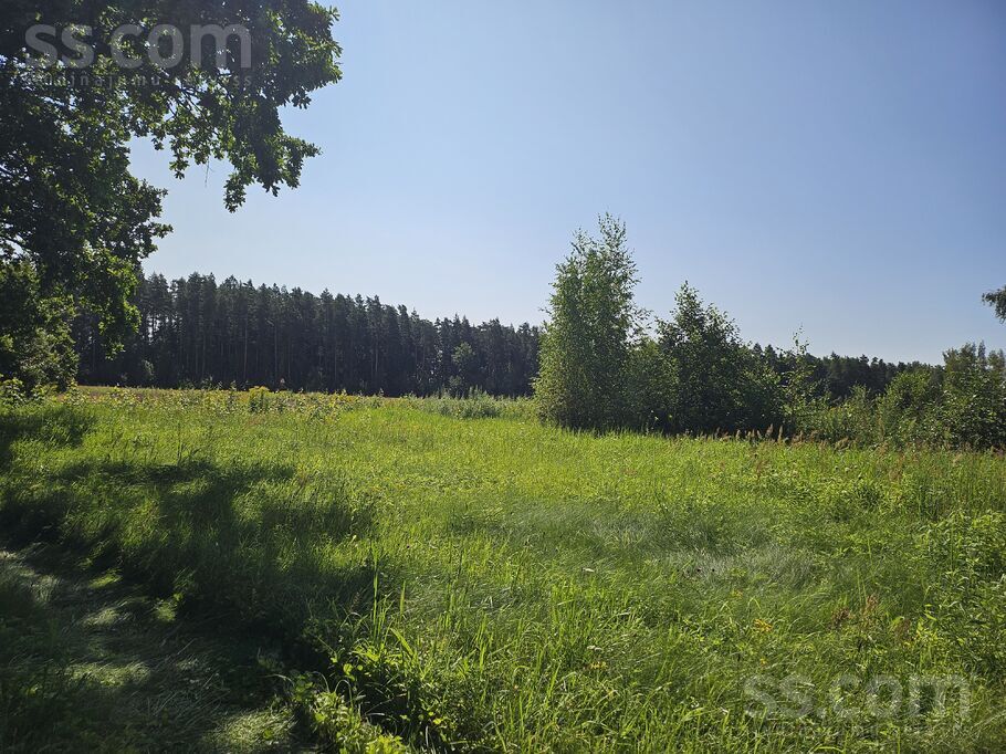 Brankas, Jelgava un raj., Cenu pag. — vienseta