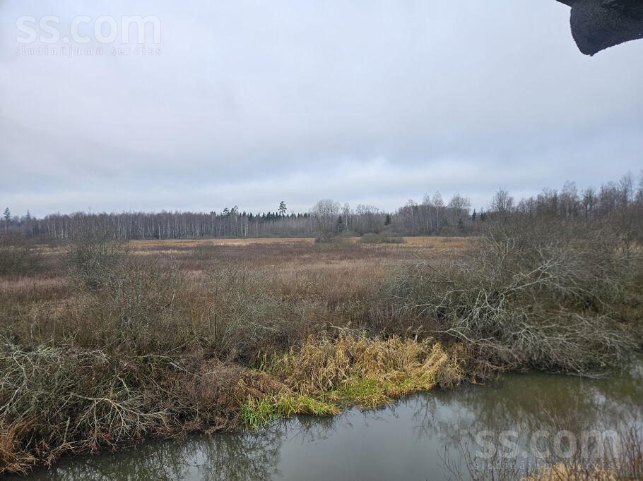 Brodi, Jēkabpils un raj., Ābeļu pag. — mezs