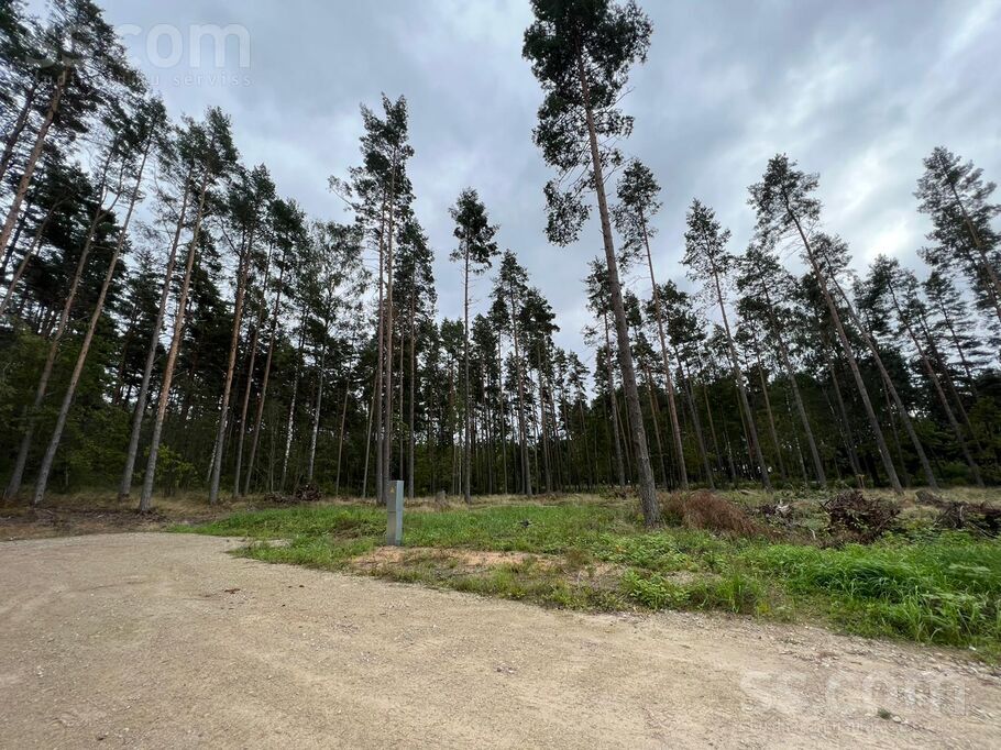 Palu iela, Sēbruciems, Rīgas rajons, Babītes pag. — zeme