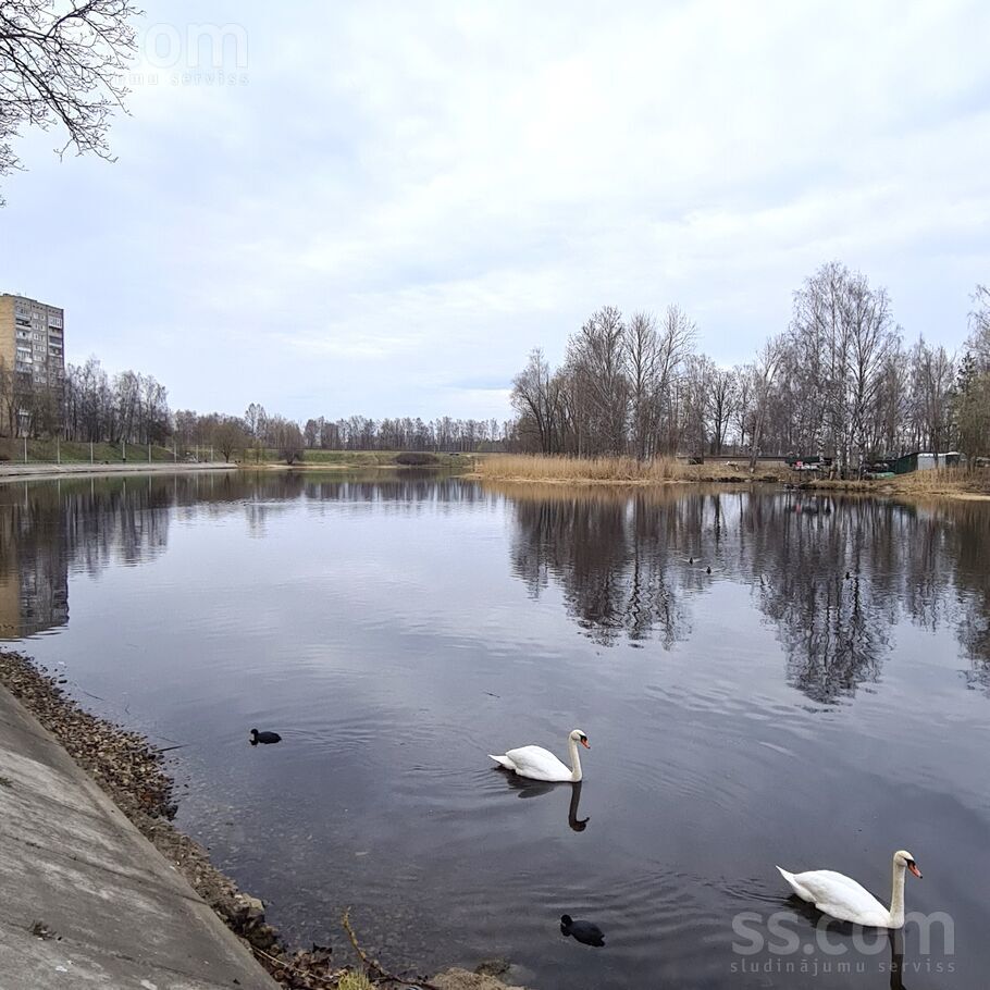Vidzemes al. 1, Rīga — dzivoklis