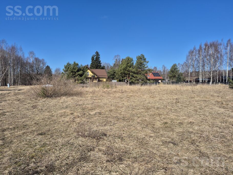 Kastaņu 2, Liepāja un raj., Grobiņa — zeme