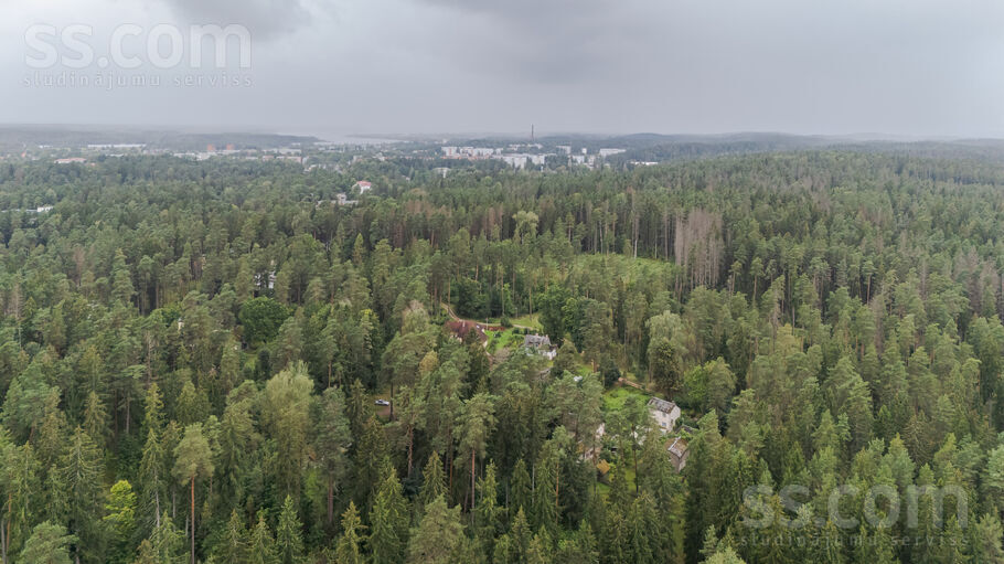 Vārpas iela 10, Ogre un raj., Ogre — zeme