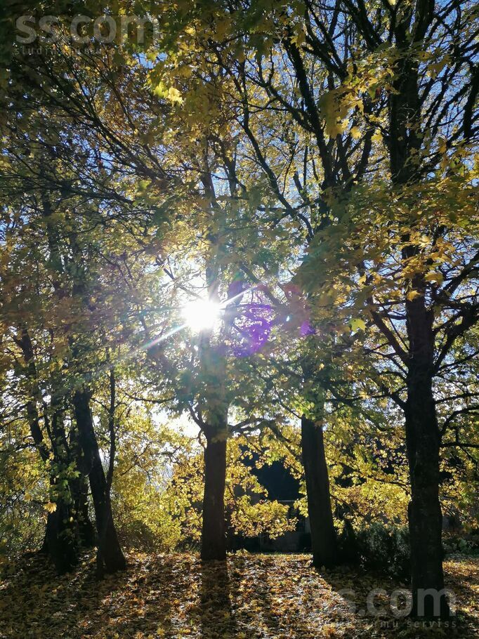 Lamiņi, Tukums un raj., Pūres pag. — vienseta