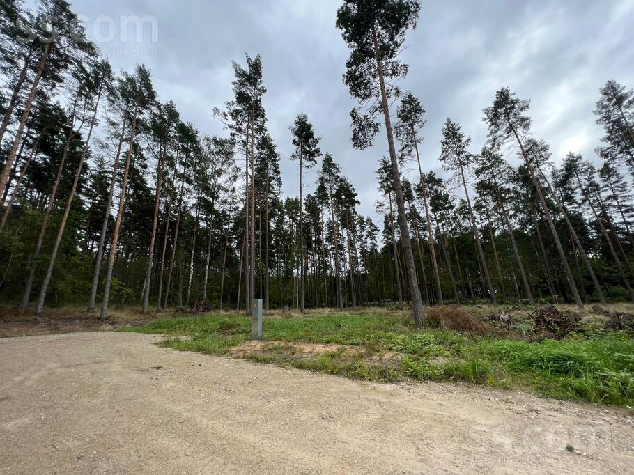 Palu iela, Sēbruciems, Rīgas rajons, Babītes pag. — zeme