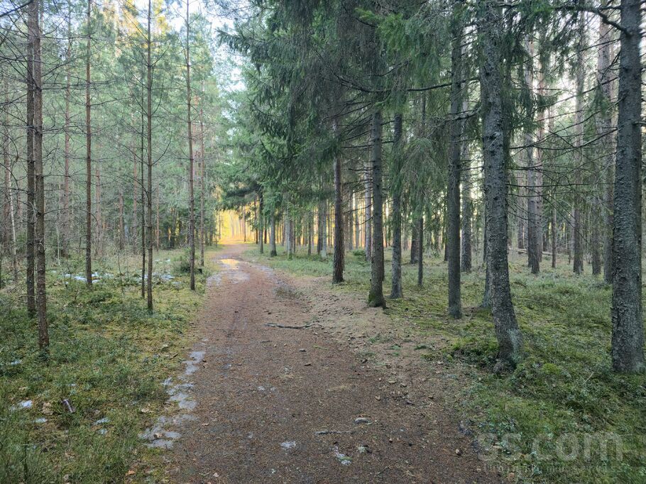 Jūrkalnes 17, Skulte, Limbaži un raj., Skultes pag. — zeme