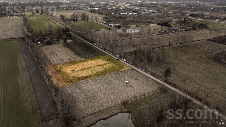 Ziedlapas, Brankas, Jelgava un raj., Cenu pag. — zeme