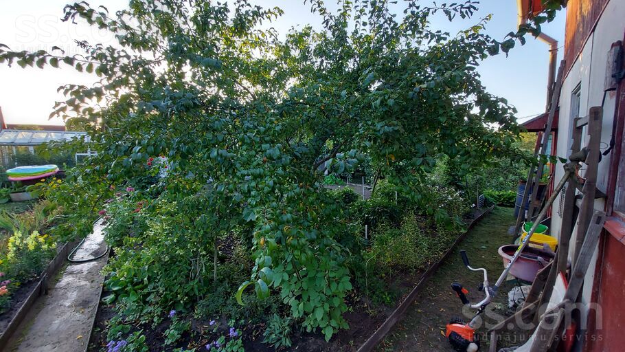 Domes, Preiļi un raj., Līvāni — maja