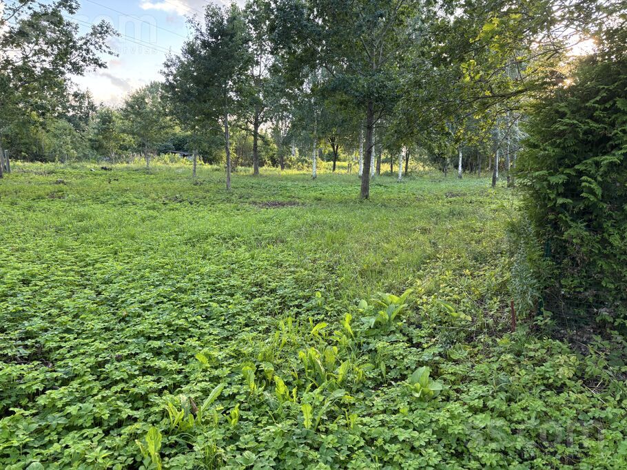 Dienvidu iela 12, Rīgas rajons, Salaspils — zeme